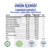 Karamuk Kapsül (Berberin Capsule)  60 Adet thumbnail 3
