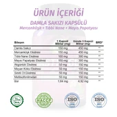 Mastic Gum Kapsül (Mastic Gum Capsule) 60 Adet thumbnail 3