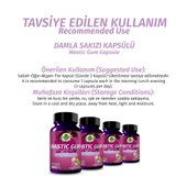 Mastic Gum Kapsül (Mastic Gum Capsule) 60 Adet thumbnail 4