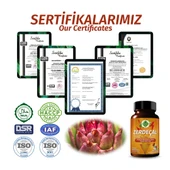 Zerdeçal Kapsül (TURMERİC CAPSULE) 60 Adet thumbnail 5