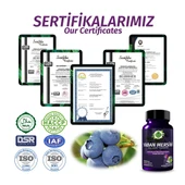 Yaban Mersini Kapsül (Blueberry Capsule) 60 Adet thumbnail 5
