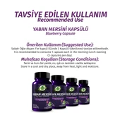 Yaban Mersini Kapsül (Blueberry Capsule) 60 Adet thumbnail 4