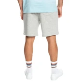 Quiksilver EQYFB03312 Essentials M Otlr Erkek Şort thumbnail 8