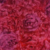 40x60cm Çiçek Panosu Panel (0,24m2) Şakayık Çiçekli thumbnail 8