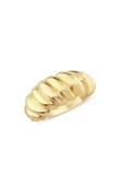 Winkle Snail thumbnail 1
