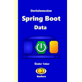 Derinlemesine Java Spring Boot Data thumbnail 2