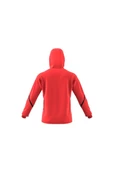 adidas Erkek Sweatshirt IC8050 thumbnail 11
