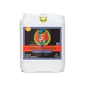 Advanced Nutrients Connoisseur Bloom A+B 5 Litre thumbnail 2