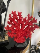 Dekotatif Şık Mercan biblo thumbnail 3