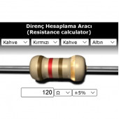 OEM 120 R (Ohm) Direnç thumbnail 1