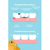 Probident Kids Diş Macunu Şeftali thumbnail 2
