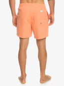 EQYJV03987  VOLLEY SHORT  QUIKSILVER thumbnail 5