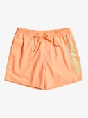 EQYJV03987  VOLLEY SHORT  QUIKSILVER thumbnail 7