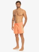 EQYJV03987  VOLLEY SHORT  QUIKSILVER thumbnail 4