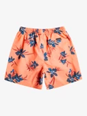 EQYJV04002  VOLLEY SHORT  QUIKSILVER thumbnail 8