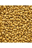 Nutribird P19 Original 10kg thumbnail 3