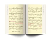 İhtiyarlar Risalesi (Osmanlıca) thumbnail 3