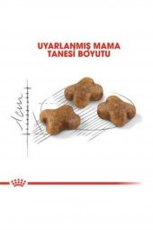 Kitten Kedi Kuru Maması 4 kg thumbnail 3