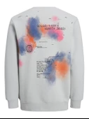 12242181  Jack & Jones  SWEAT thumbnail 8