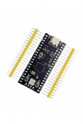 Raspberry Pi Pico RP2040 16Mb Modül  Type C Dual Core 264Kb Arm Cortex-M0+ Micro Kontrolör thumbnail 4