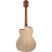 Washburn AG40CE Apprentice Serisi Elektro Akustik Gitar thumbnail 3