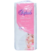 İdrofil Pamuk 50 Gr Paket Cotton Wool thumbnail 4