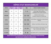 Basic Orange Atlet Köpek Kıyafeti  Köpek Elbisesi thumbnail 4