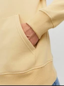 12242197  Jack & Jones  SWEAT thumbnail 6