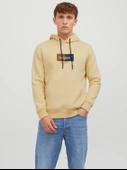 12242197  Jack & Jones  SWEAT thumbnail 2