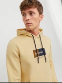 12242197  Jack & Jones  SWEAT thumbnail 7