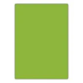 BIGPOINT CILT KAPAGI A4 160MIC YESIL (BP688-55) thumbnail 1