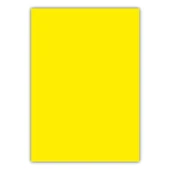 BIGPOINT CILT KAPAGI A4 160MIC SARI (688-15) thumbnail 1