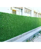 Çimçit 200 cm x 10 M thumbnail 2