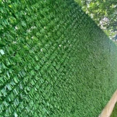 Çimçit 150 cm x 10 M thumbnail 6