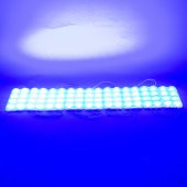 Powermaster 12 Volt 3.6 Watt Mavi 2835 Modül Led thumbnail 2