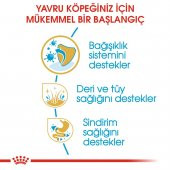 Royal Canin Cocker Junior 3 Kg. thumbnail 5