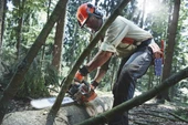 Husqvarna 562 Benzinli Motorlu Testere thumbnail 3