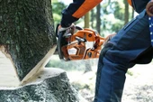 Husqvarna 562 Benzinli Motorlu Testere thumbnail 2