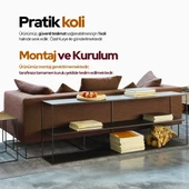 Zaum Dresuar ve Konsol thumbnail 5