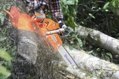 Husqvarna 365 Benzinli Motorlu Testere thumbnail 4