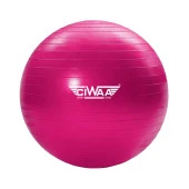 Ciwaa Cwa-2047 Pilates Topu 75 Cm Pembe Pompa hediyeli thumbnail 1