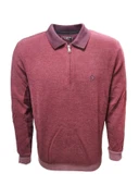 Rey Polo R01253 Erkek Basic Selanik Polo Yaka Sweatshirt thumbnail 1