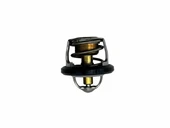 Yamaha YZF R25 Termostat thumbnail 1