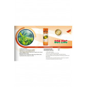 CİTSA BOR ZINC 1 KG thumbnail 2