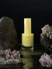 Pharma Acqua Fresh Nail Varnish 12 ml  Oje - 93 thumbnail 1