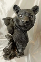 Aslan Kaplan Jaguar Biblo thumbnail 1