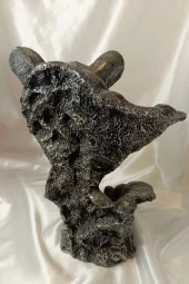 Aslan Kaplan Jaguar Biblo thumbnail 4