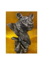 Aslan Kaplan Jaguar Biblo thumbnail 5