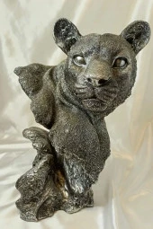 Aslan Kaplan Jaguar Biblo thumbnail 6