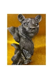Aslan Kaplan Jaguar Biblo thumbnail 7